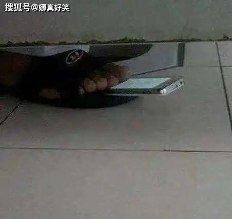 搞笑gif上厕所正确玩手机方法