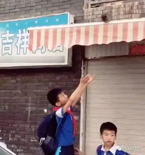 暴雨后9岁男孩暖爆朋友圈孩子如此善良,你没权力伤害他