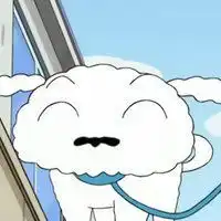 小新和小白头像微信头像图片大全