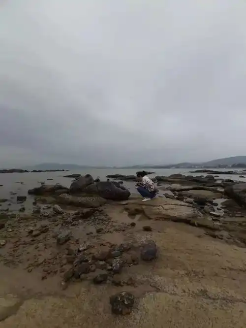 二美说走就走,来深圳看海