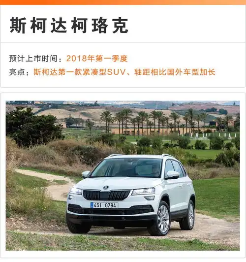 春节前将上市的6款全新suv,最后那台是男人梦想