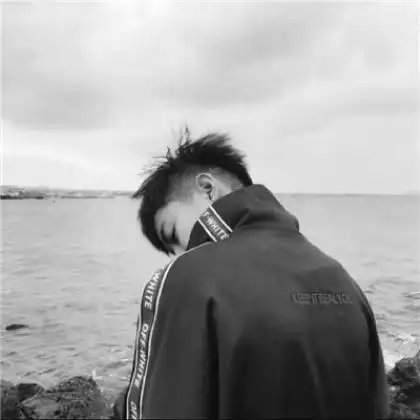 测试一个超长简介的文章