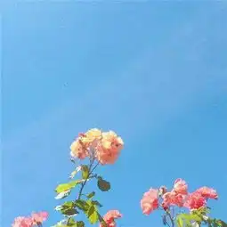 表面看起来很老实,实际上很花心的5大星座