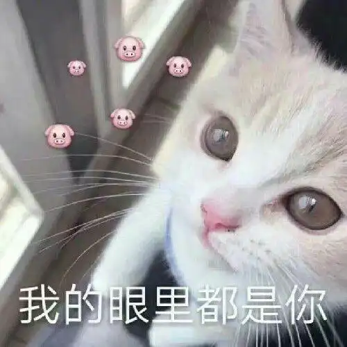 有什么好看的半身裙推荐给大学生