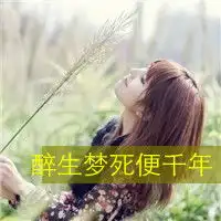 女生小清新高雅头像,不要关于爱情的