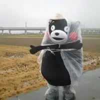 表情包头像可爱圆脸微信头像图片大全