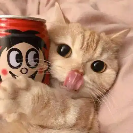 qq情侣头像情侣专用猫万圣节装扮