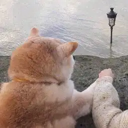 测试一个超长简介的文章