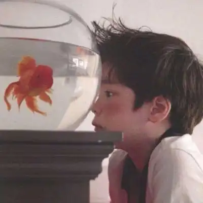 微信头像男可爱的小孩超萌图片可爱小孩头像