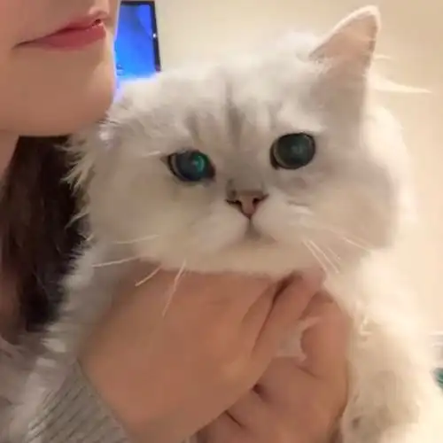 真人情头重蹈覆辙更难受还是亲手推开更难受