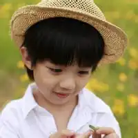 测试一个超长简介的文章