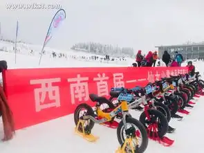 首届仙女山平衡车亲子雪地赛完赛冰雪运动乐趣多