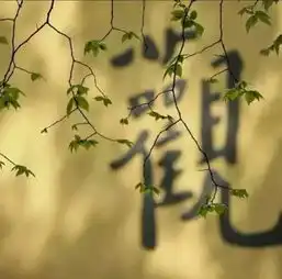 男子卖掉公司住灵隐寺6年,镜头下的佛心禅意