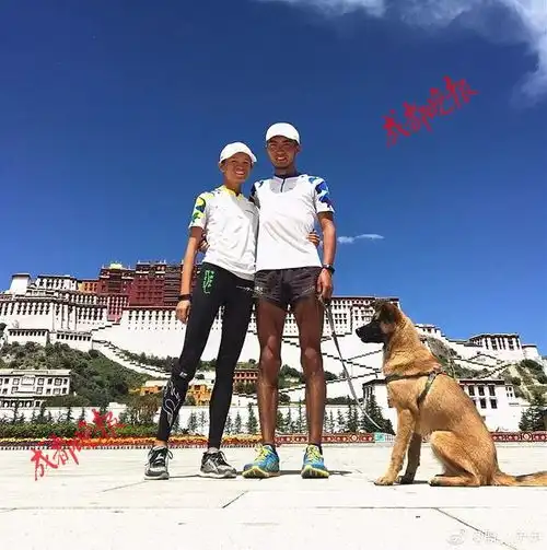 搜狐公众平台厉害了150天,4700公里90后情侣带了一只狗从杭州跑步到拉萨