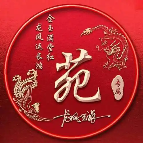龙凤呈祥姓氏头像,百家姓雕刻其中,30张奢华立体效果震撼登场