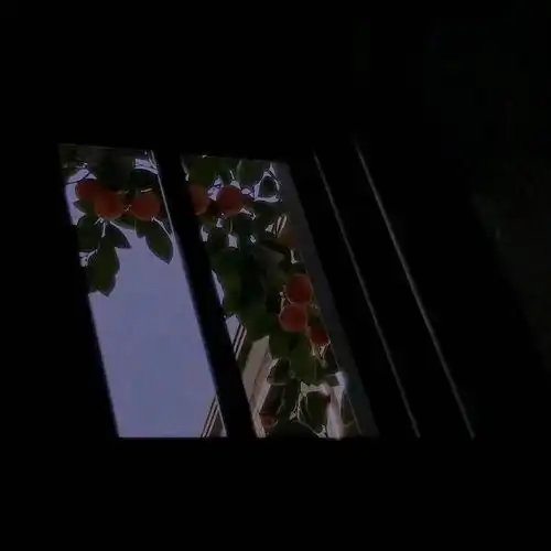 测试一个超长简介的文章