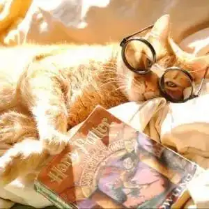 如果不愿想起初恋,那这些歌你可千万别听