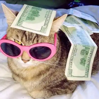 沙雕的搞笑名字脑洞大开可爱点