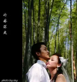 婚纱新作竹林深处