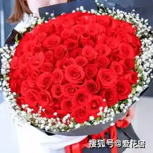 情人节一束玫瑰花多少钱实惠的情人节玫瑰尽在爱花居