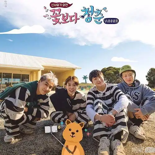 又有综艺被爆抄袭了这次还是致敬吗