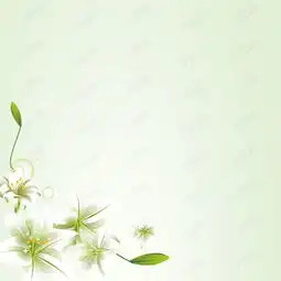 清新百合花绿色渐变psd分层主图背景素材背景图片免费下载主图直通车psd千库网图片编号4737456