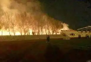 情人节还在玩这些危险套路小心人家拿小拳拳捶你胸口