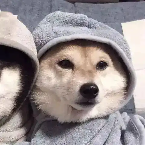 和对象换情侣头像啦