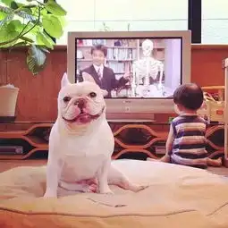 我进来只想笑笑,结果哈哈哈哈哈哈哈哈......