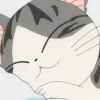 萌宠头像猫咪呆萌高清微信头像图片大全