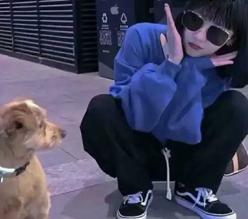 有什么男朋友不是人系列情侣头像