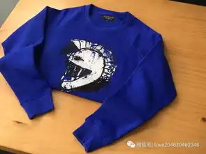 入秋时节吴亦凡倾情演绎bbr帕拉斯头盔图案刺绣情侣款卫衣