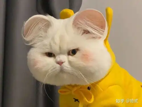 把男友撩到脸红的小情话最全小情话,建议收藏