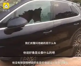 男子心情不好随手砸车以为砸的是众泰结果是保时捷