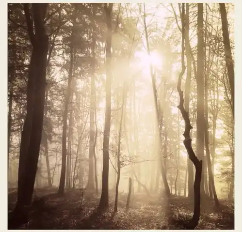 测试一个超长简介的文章