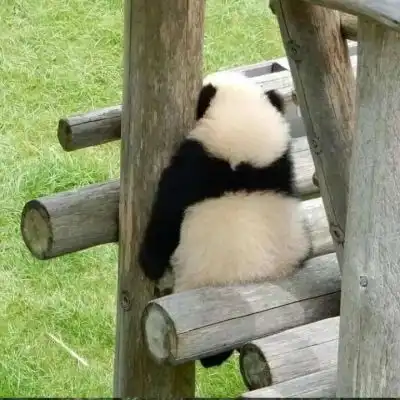 测试一个超长简介的文章