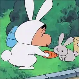 求蜡笔小新喂兔子情侣头像