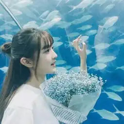 测试一个超长简介的文章