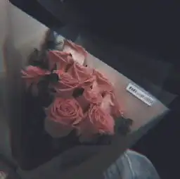 测试一个超长简介的文章