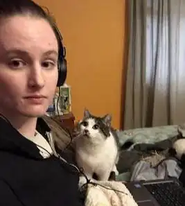 用爱就能治愈它们的悲伤,国外网友分享,怕人猫变粘人猫咪全过程