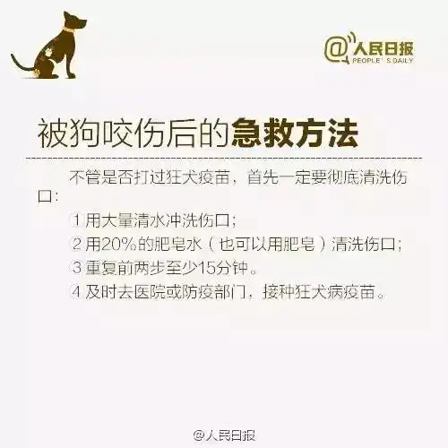 恶犬小区内连咬4人6岁男童治疗出院后病情复发身亡