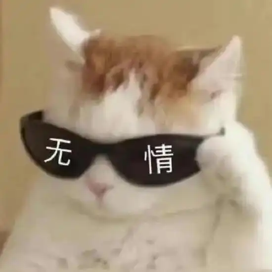 囧哥处处是商机两盗贼趁水上乐园起浪拽走金首饰和手机