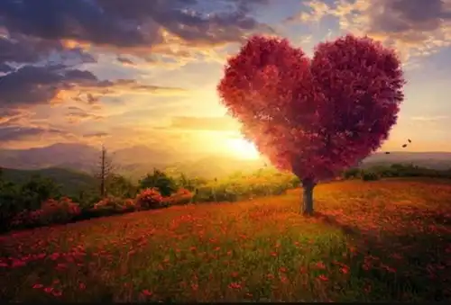 夜雨丨屿夫把欲望投入爱的烈焰