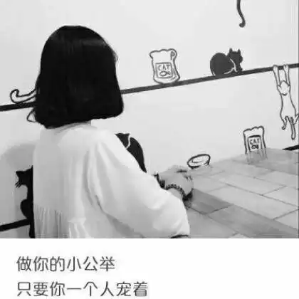 测试一个超长简介的文章