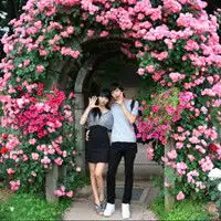 qq情侣头像一图两人一对