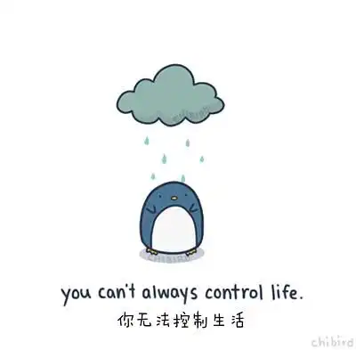 驾考