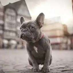 一天晚上闲的无聊便和镜子里的自己玩石头剪刀布