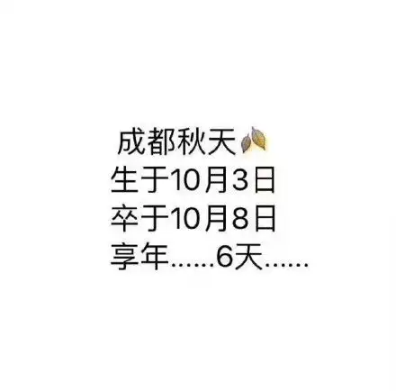 测试一个超长简介的文章