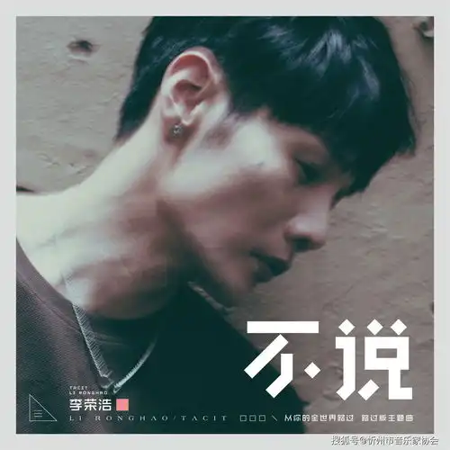我不是不伤不痛不难过,我只是不美不好都不说李荣浩不说