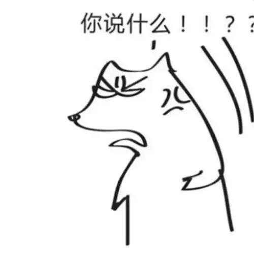 这是一波见过世面的头像